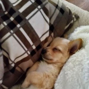 Meet your Posher, Jessica